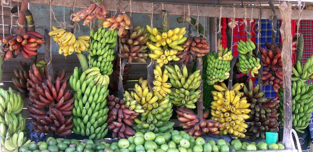 Види бананів